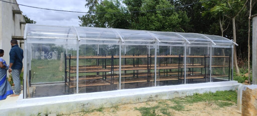 Sustainability in Action: How Shree Hari Global Foods is Building a Circular Economy in Agriculture