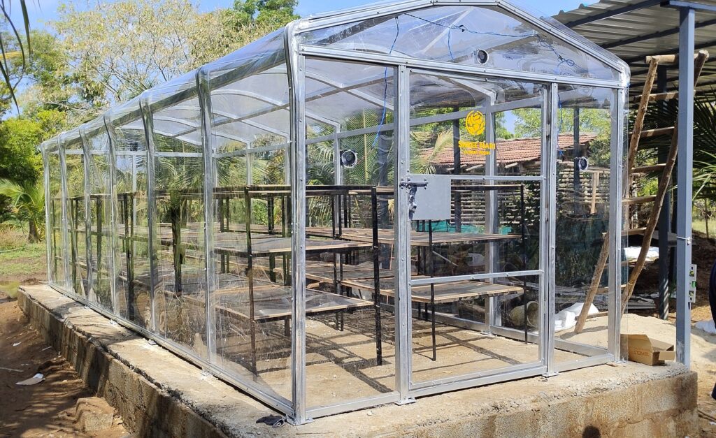 Empowering Rural Women Through Solar Drying: Stories of SHG Success